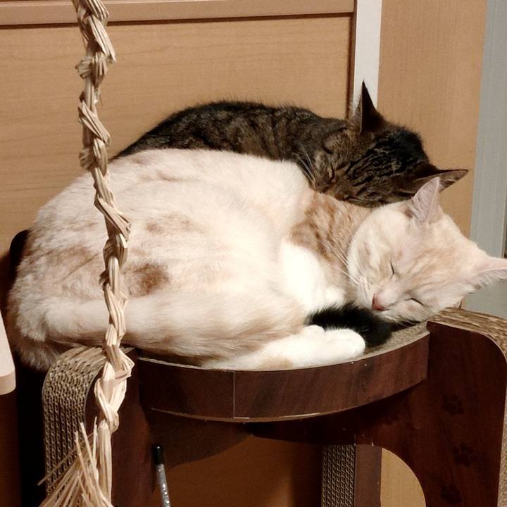 62006f64 8a0d 4ca2 8a3f 8a20173c84c2 1661172177884