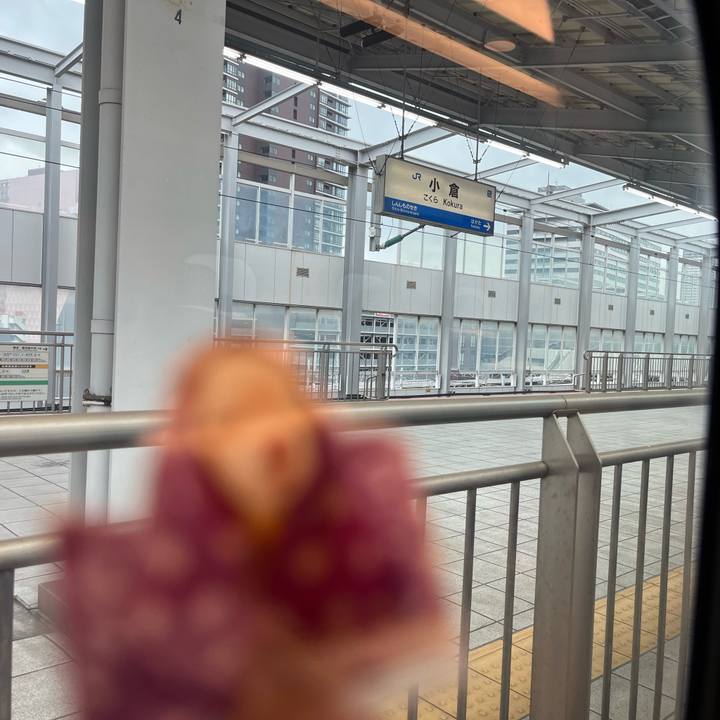 6200b713 1728 4548 be39 0ba2d421cb19 1711162470967