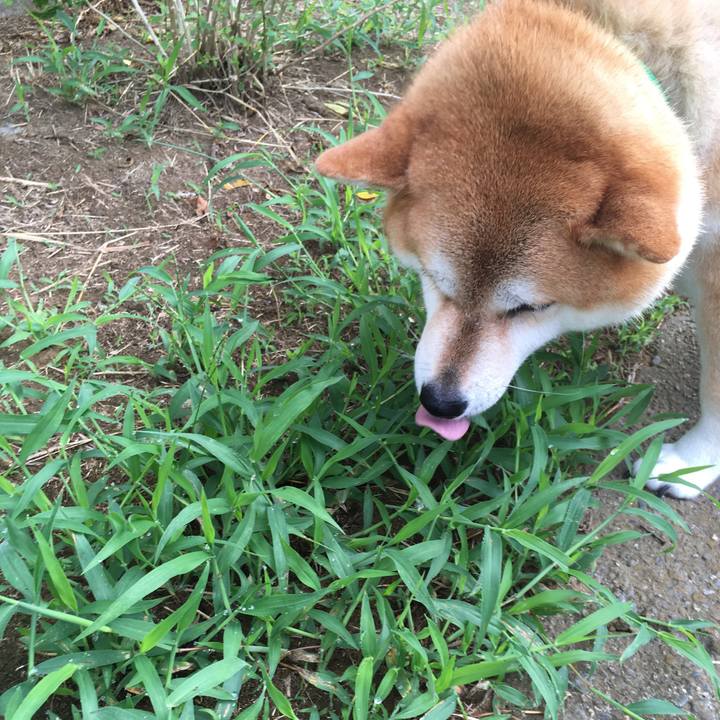 6200e9ba c8cd 4baa 9ed5 19d548574a46 1600298736077