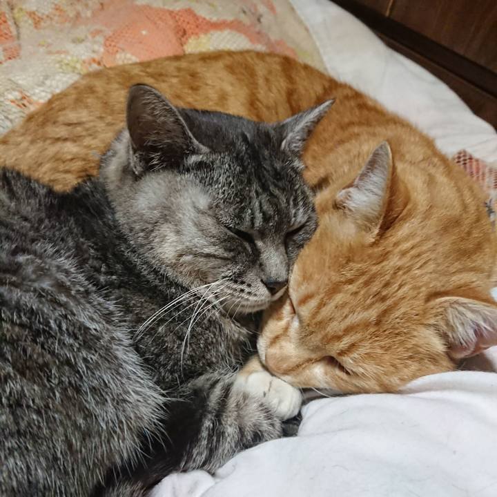 6200f97b 20f1 4e26 b97c a5142249c2ac 1574945043227