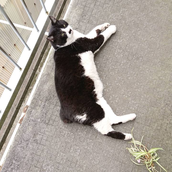 62010bbe 4d0b 40d6 8ffa 391588076295 1623463234104