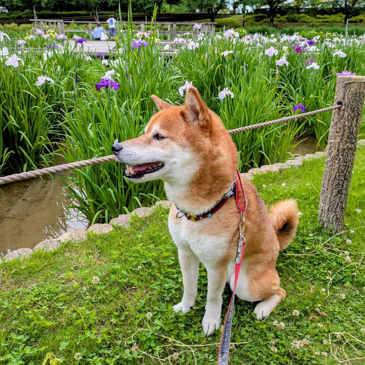 62012dac 1e2d 44f1 ae89 fc0fd9ffccf7 1748766436312