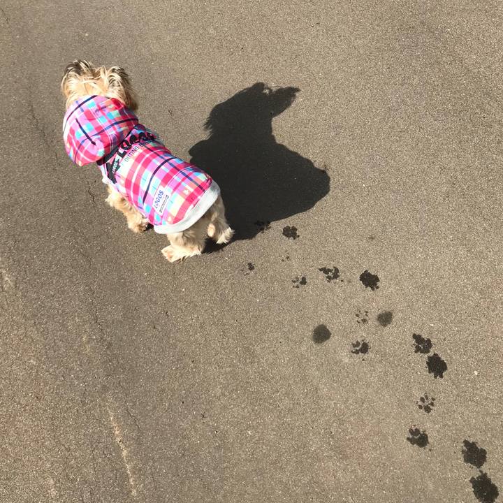 62013f0a 65ef 4f0d 897c 47568dcabd55 1665568705932