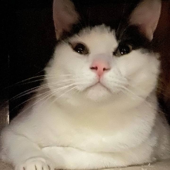 62014dd4 2bd0 4a97 b588 966e138f1bca 1581682358051