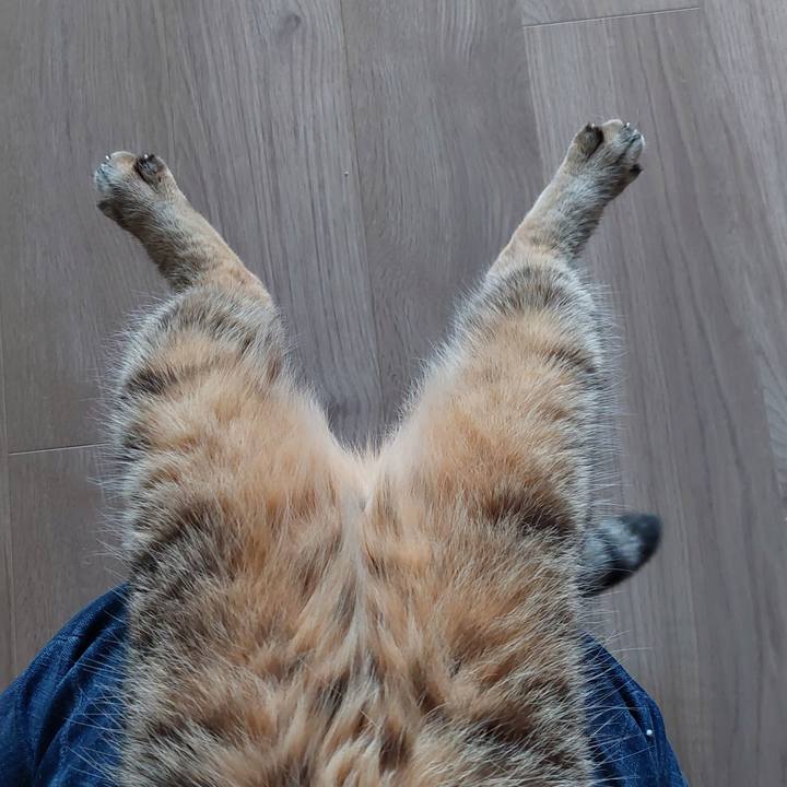 62014f39 1dfe 480b 88a7 ce7f5f8a38ec 1746228917709