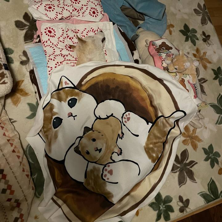 620161d4 394e 4fab b38c b26d457b2b37 1679852988839