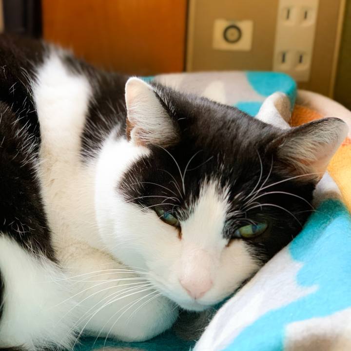 62016ec6 2628 4c52 a380 5110949d083f 1578101446010