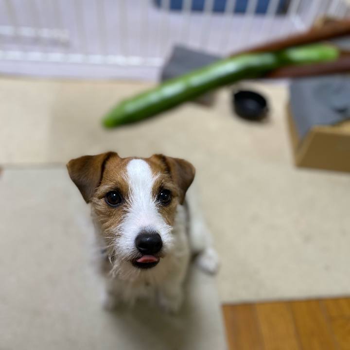 6201874f 1a70 490d 8050 f186dc8f3b4c 1678714018582