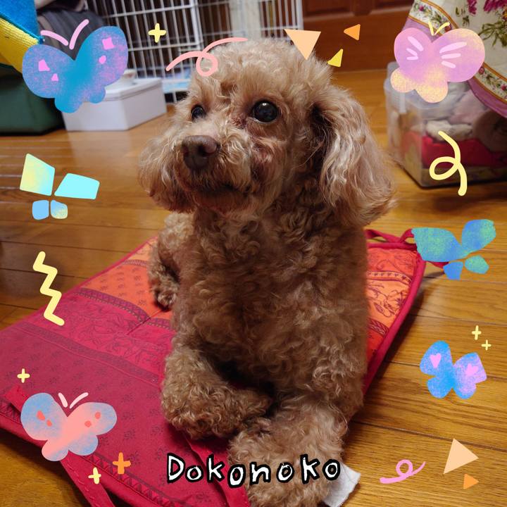 62019380 d4a5 4a9f 977b 6bcda279f7bb 1711196268405