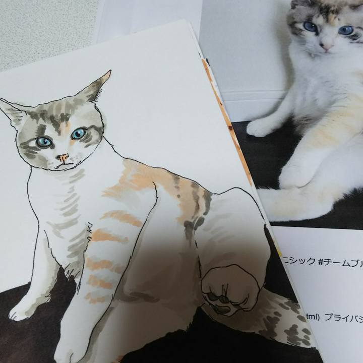 6201e7f7 53aa 430b a04c 069f35e69f9c 1538909357592