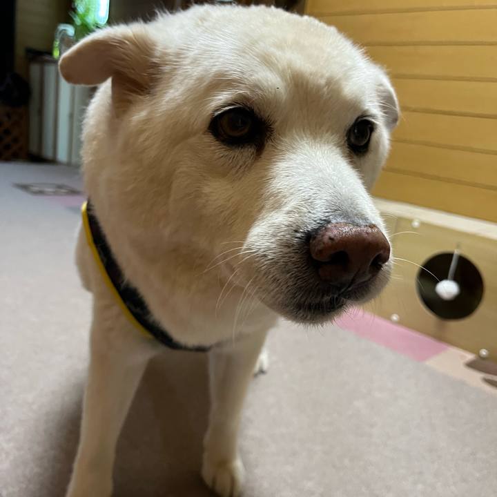 6201fefa 7484 49f0 a13e 3318677b7a08 1762816490108