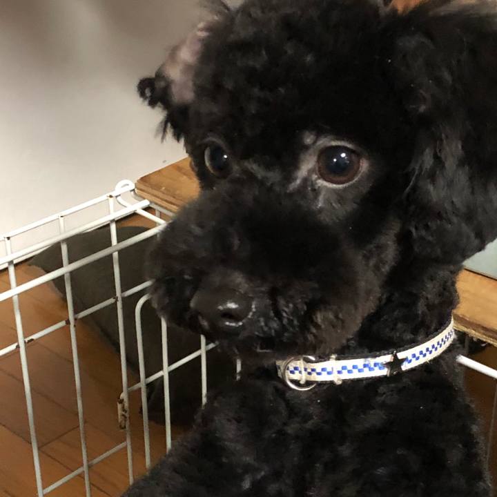 620222f5 3785 4892 851d 1ec309d3573a 1521026512517