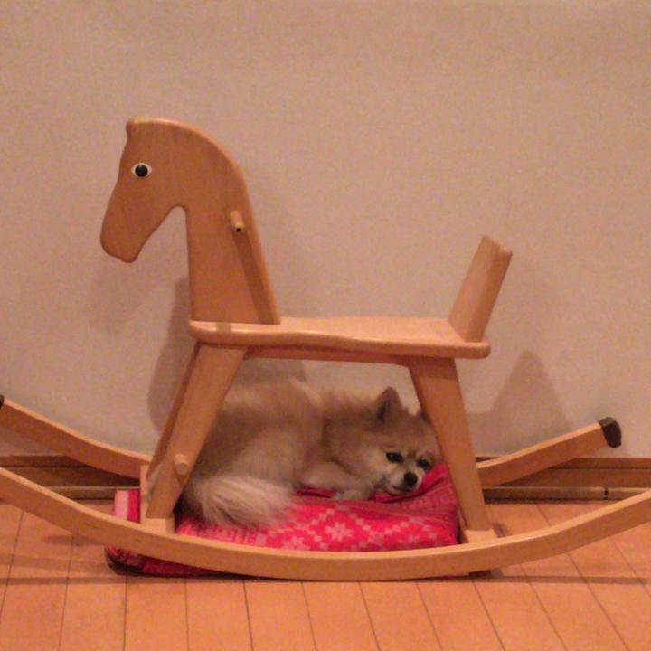 6202573e f9ef 44d7 baff 45dcfba8f936 1542718565118