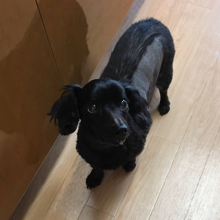 620260d6 f3c1 46a3 bda7 973a530359ce 1548023627985