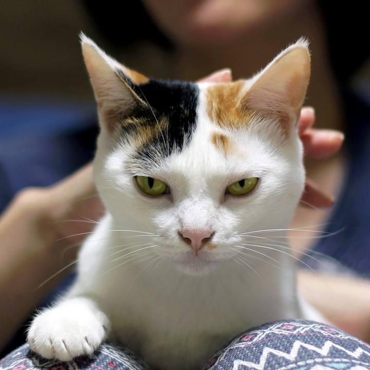 6202a971 aa22 42ed 95e0 f36bd57bd51f 1602647807535