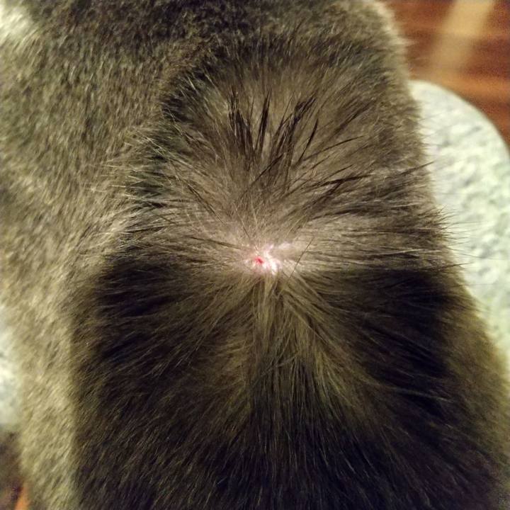 6202c93d 7305 4a92 bf75 fe61da115cee 1610372391816