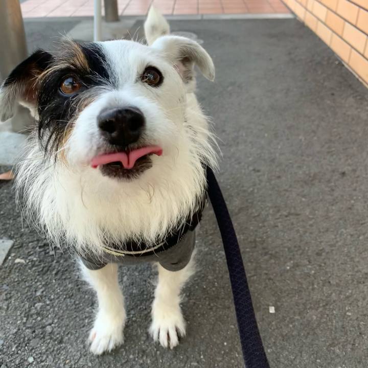 6203067f 88b7 4f69 b91a 389d686f07e9 1652858915279