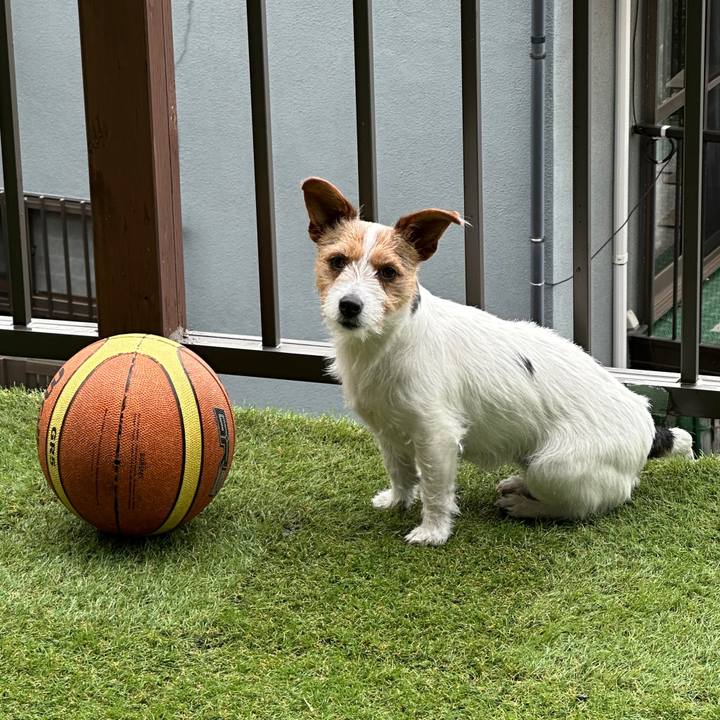 62031674 1905 4789 a0ca 19aa234aedd9 1771807415376