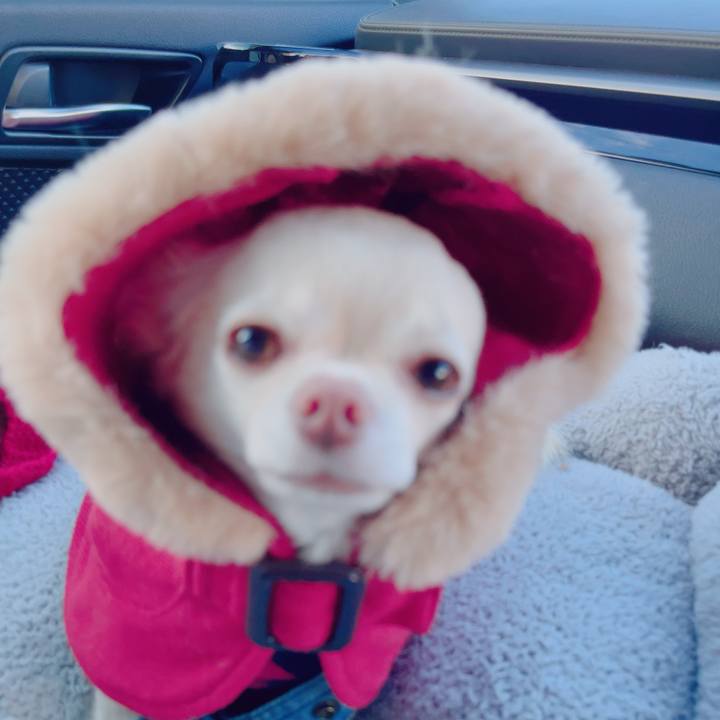 62034c38 2996 4862 8e79 2ca4b2232115 1702804818986