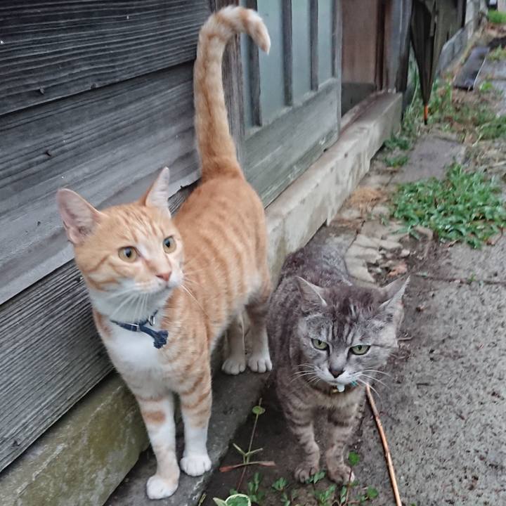 62034eb8 5999 4236 87f8 f2b1498febf3 1563442775081