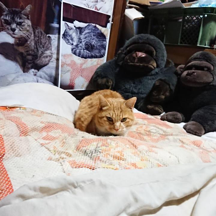 6203c011 de1a 49e2 bd57 1d0a2880b992 1608373064658