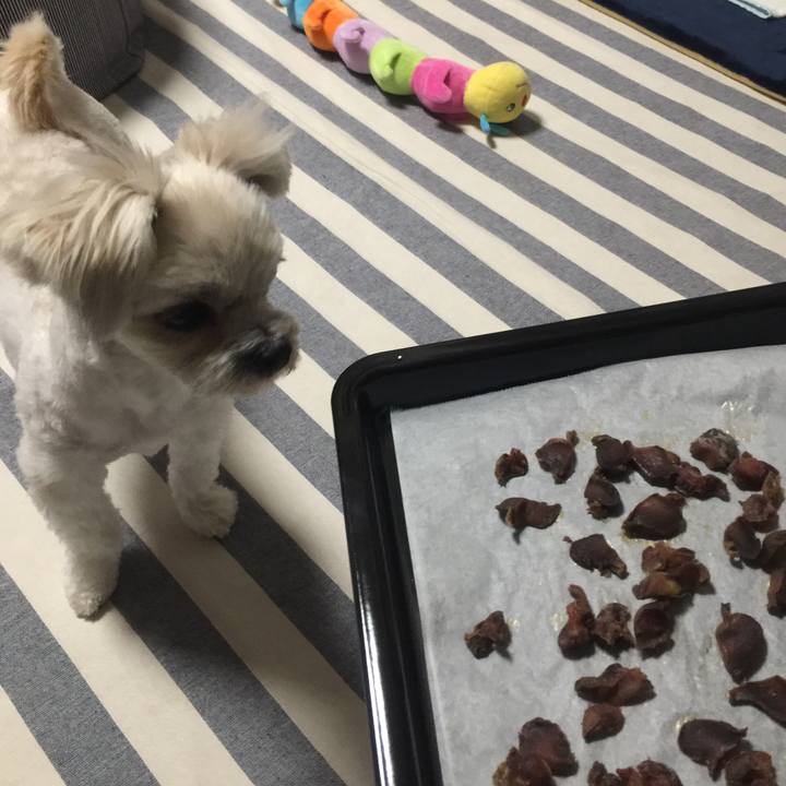 62040330 d819 442e 8575 5868159d1467 1516623144542