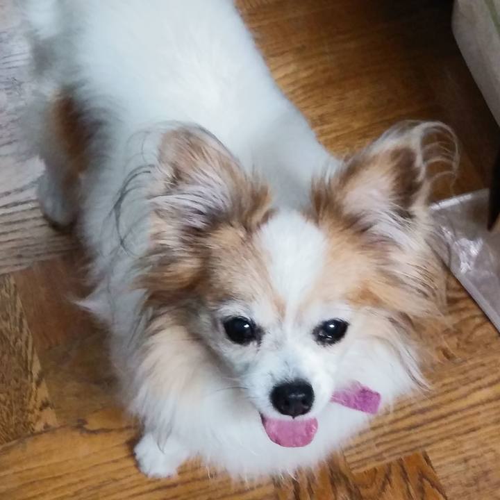 620433f8 8f8d 4a99 8ef4 3e4098b626bc 1533724996025