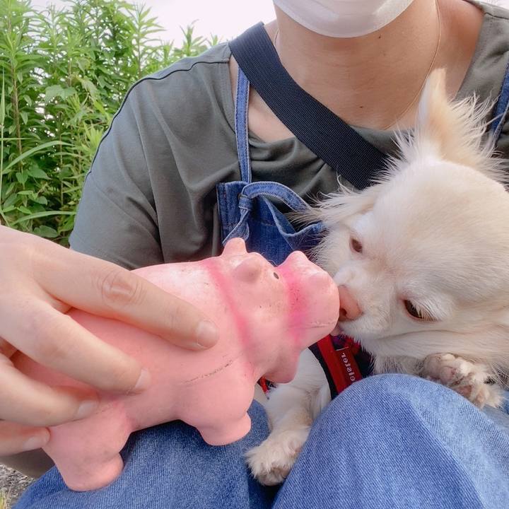 620450a7 f4ed 4b2f 9412 acca9c73f39c 1624453282835