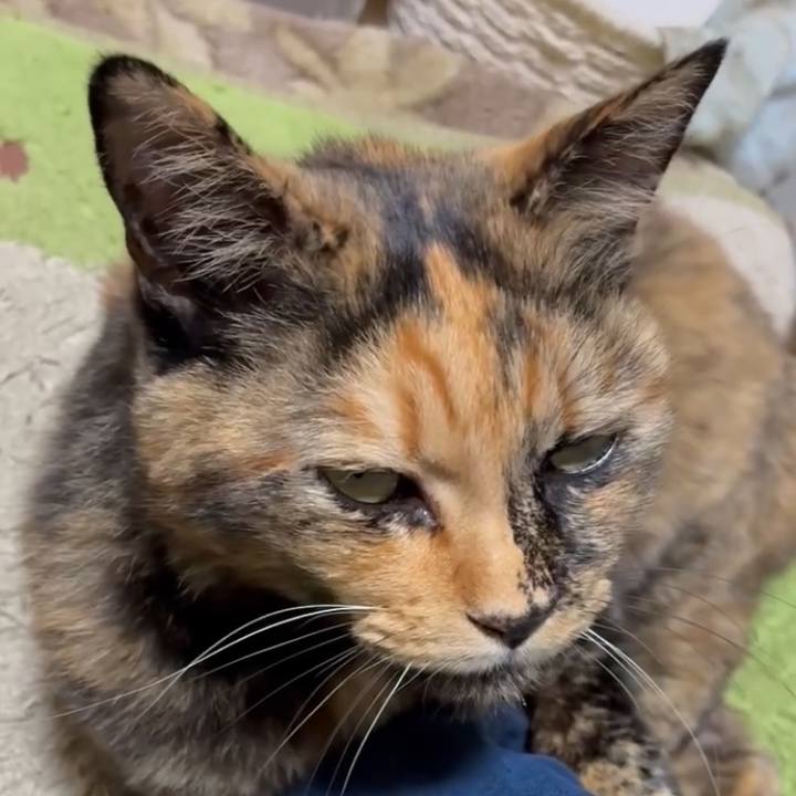 6204613d 4a70 4c13 90a7 ca8e0fc8a495 1763237081117