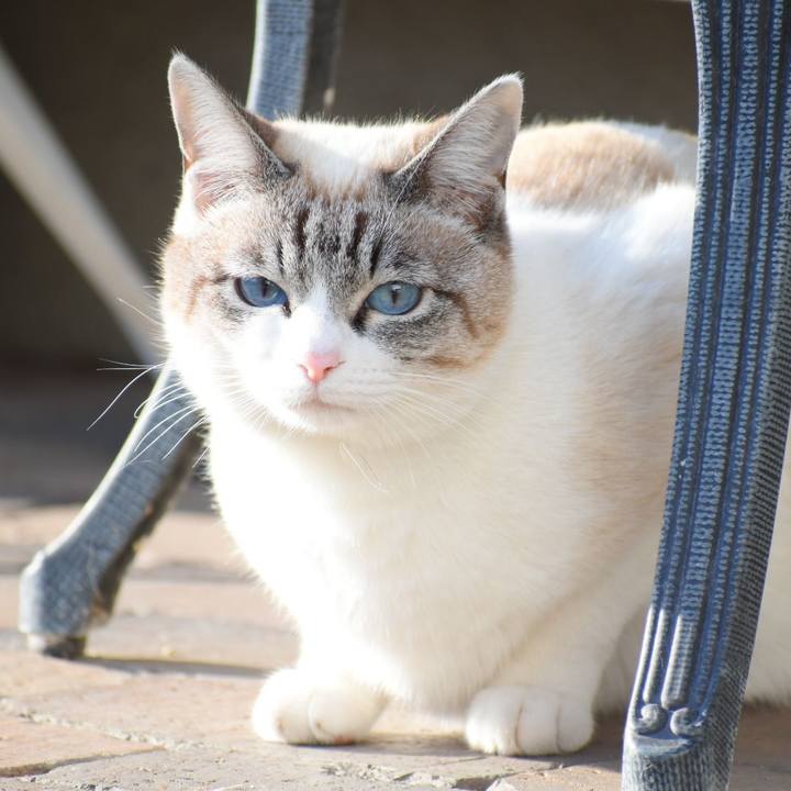 62047c30 9fae 484e 9a0b 66b65273c952 1520759480285