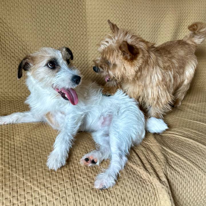 62049305 a9d1 46a0 8dc0 11f19d535ae1 1750509970507