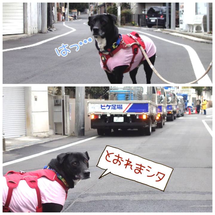 6204ac5c d847 433e ac8d 210f4af282dd 1677116685541