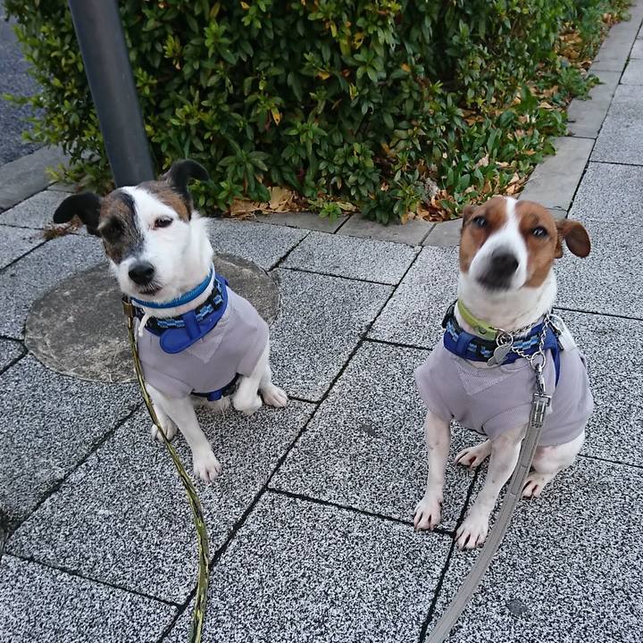 62058722 eab1 4665 9072 3dd645cbf8ac 1578521801478