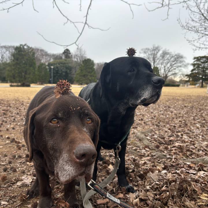 6205c289 8eae 4400 97f3 61f1bd20f222 1770462488868