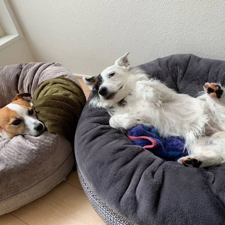 6205d04f 5337 448a 8992 b9d1979217ff 1587444788771