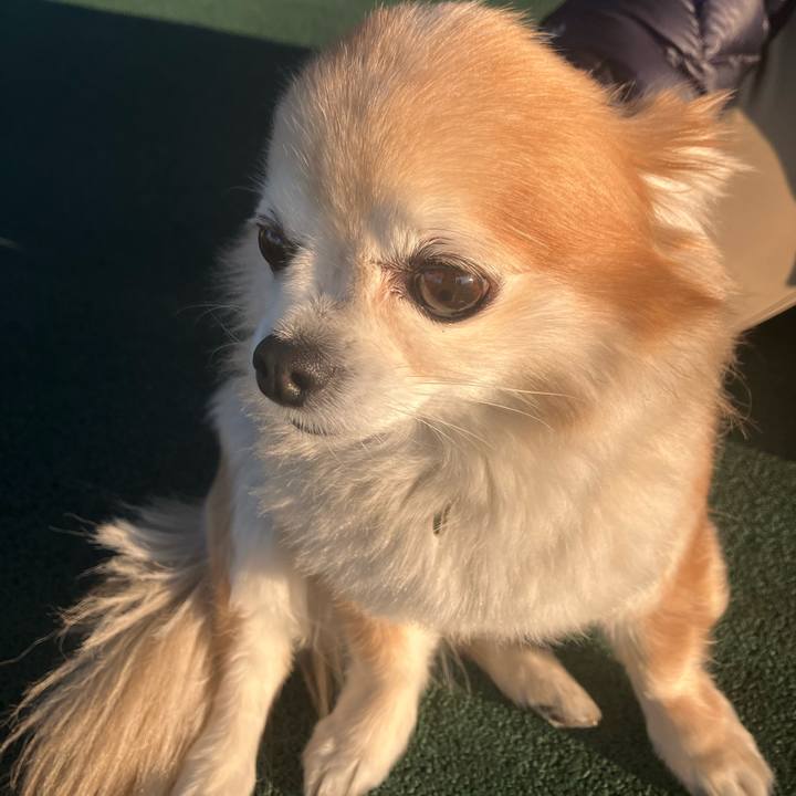 6205d5c5 966f 4ce1 8136 fbc138720ab0 1773235118946