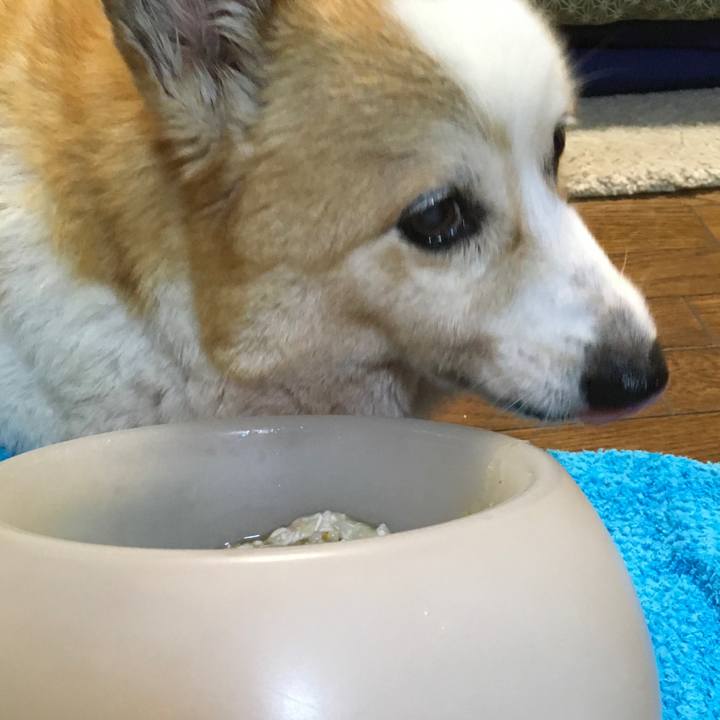 6205ea24 58fe 412e 92b5 979a827e0235 1568188391845