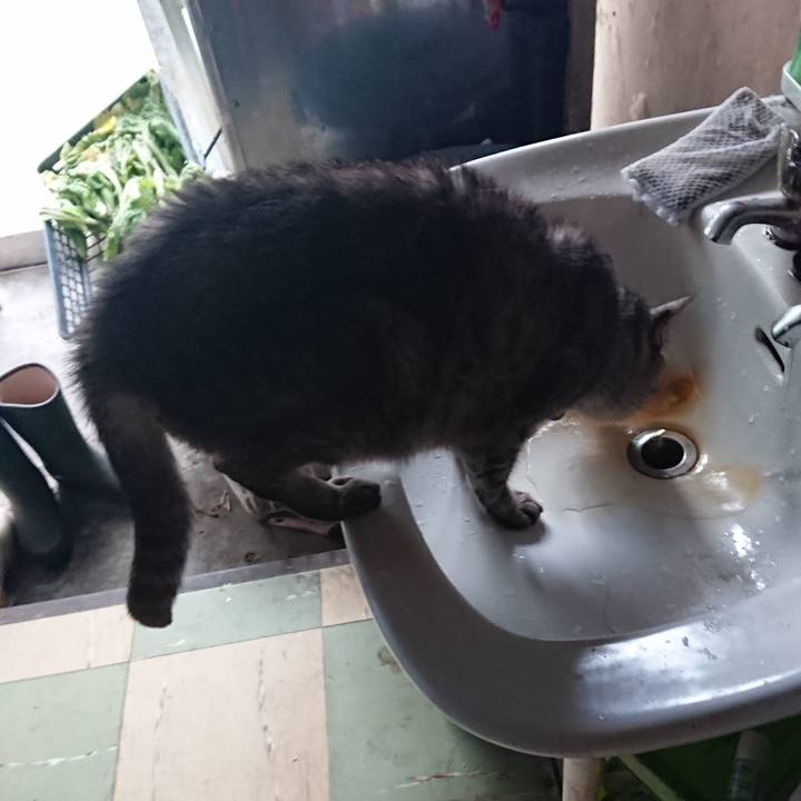 6205f8b8 7b4e 48bb ac1e 3eb83369f88c 1570067653991