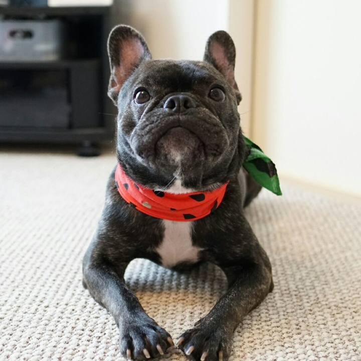 6205fcf4 55ad 42b3 8311 1616cdacd6d6 1534824519459