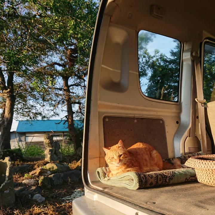 62063e55 36fd 40a6 99f1 541383218135 1662327110026