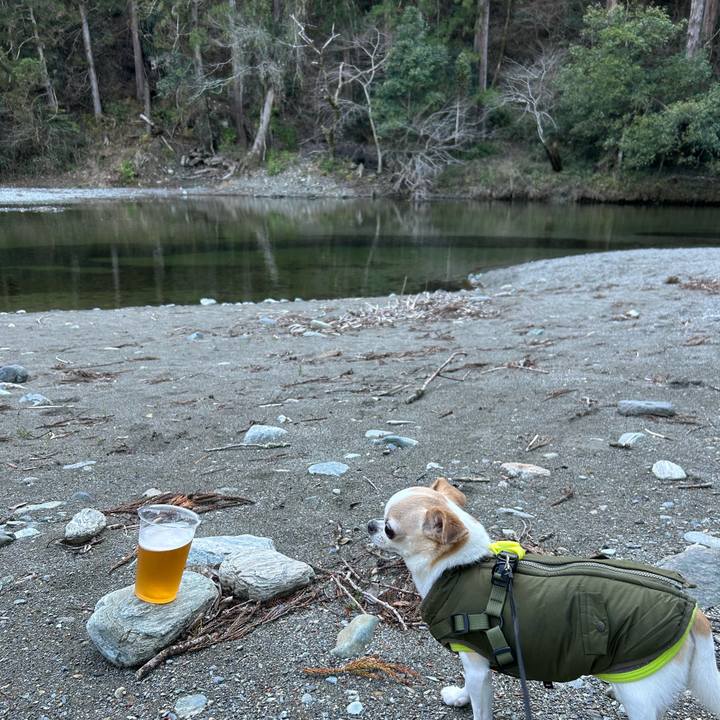 62066006 d298 44f3 8b35 cc310a10ce20 1773908408314