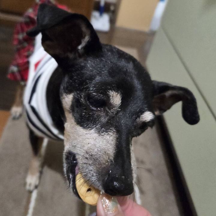 6206687a 8055 4be1 b327 c26774f72565 1759088420254