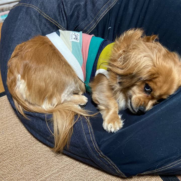 62066a27 cd5c 4127 a1ec 956aa6df837f 1576187832154