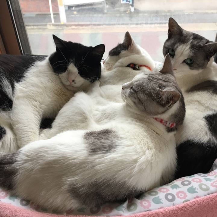 62067a3f 0f89 4a12 bb25 5a4cbc65d49d 1528598225042