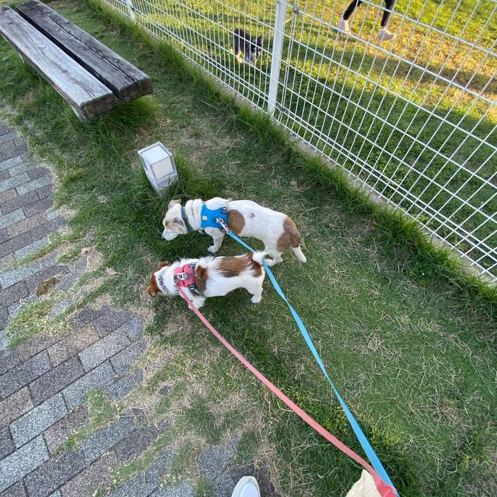 6206983a ab05 44b8 b5cb 2fd524b457e6 1729427998283