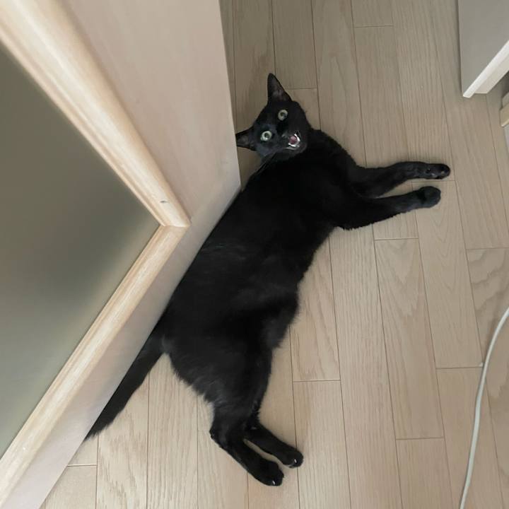 6206d942 be8b 4be4 b1c5 100f66585072 1691325693996