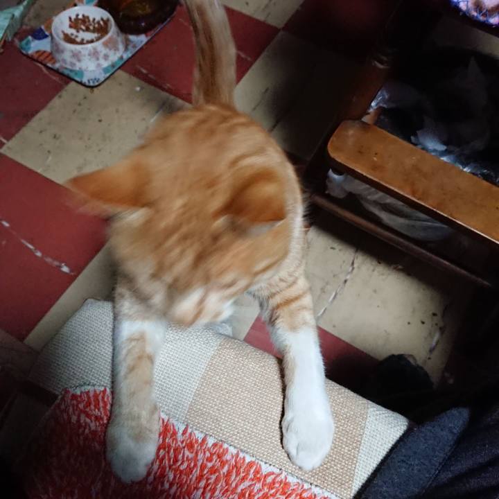 6206d995 bf68 482e a062 e8e09cfb80bc 1576440258886