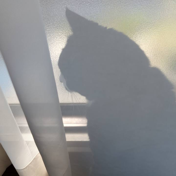 6206ea9a 44f6 4df0 bbac 7c2ee2eca890 1759713969174