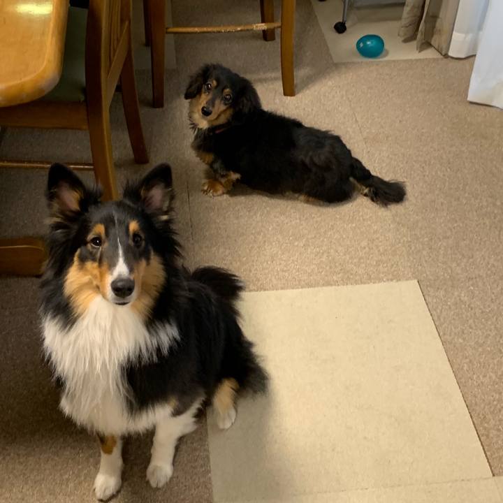 62071a56 c883 45c7 9fa9 1c4bc157e869 1548712226302