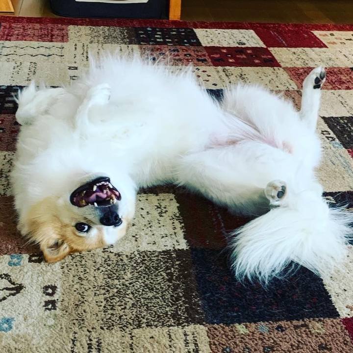 620722cd 9745 4a6e a3a6 63130d2223e1 1694137690762